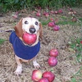 IMG_20250714_191139_320