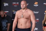 fedor-emelianenko-2248352110
