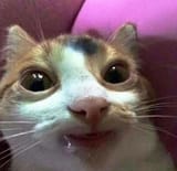7OXUKCTBRGbG5cQGWwbru3ihiXXIJ-zurdccPlhwTP8tBOX0SkRhcOoh7K20btPd48NB_JujBJCD4ucMTGStmGOy