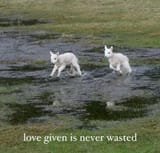 Gv54kUpWcAApAuY