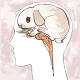 GHy9QRxaoAAEgoD