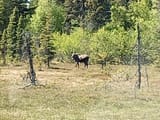 IMG_20250528_130628305