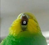 152b5defd5d4d01c5e0e623bd44eca65