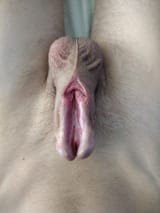 Thread image