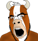 cobson-bull