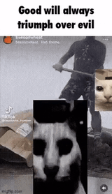 cat-cat-meme