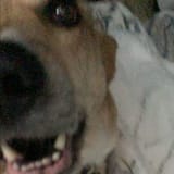 a0464928939_10