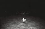 darksheep