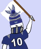 Battlehawks