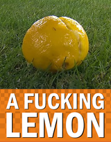 A Fucking Lemon
