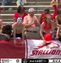 HUGE STALLIONS FAN_thumb.jpg