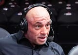 joe rogan