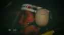 Mouton(2)_thumb.jpg