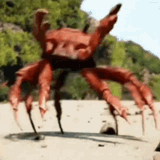 crab-rave