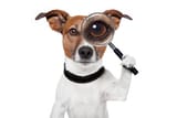 istockphoto-177342428-612x612