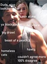 the schaub realm