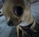 1749565125390099