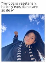 o84k7xk0ch6f1