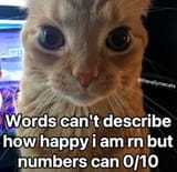 1749318023865483