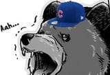 cubbear