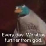 every day