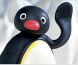 pingu wave