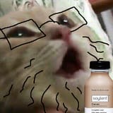 1728666891175698