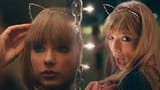 taylor kitties