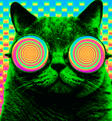 1719268162286609