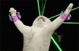 happy-cat-rave-party-clapping-b1kiz8ijs4gwihmr-1546242526