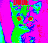 1736186893806420