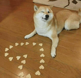 1738311331240572