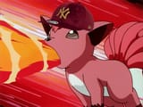 Vulpix Volpe