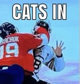 Catsin5