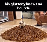 catgluttony