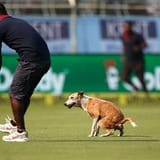 IMG_20231122_122343