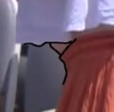 PregnantCricket
