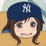 Cubkekees_Yankees_Cubs_Mashup.jpeg
