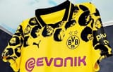 trikot