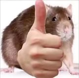 1750502749475769