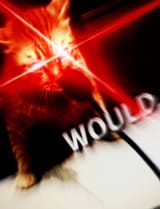 would3