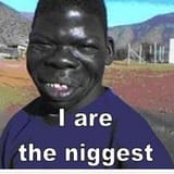 niggermax&#039;d