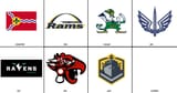 spring teams