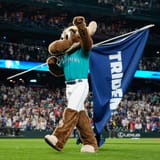 moose flag