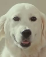 1746241590911711