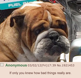 roscoesuffering