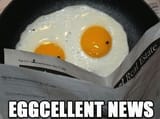 eggcellent