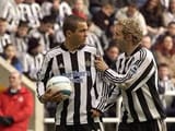 goats