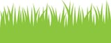 green-grass-clipart