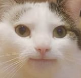 1748615764026063